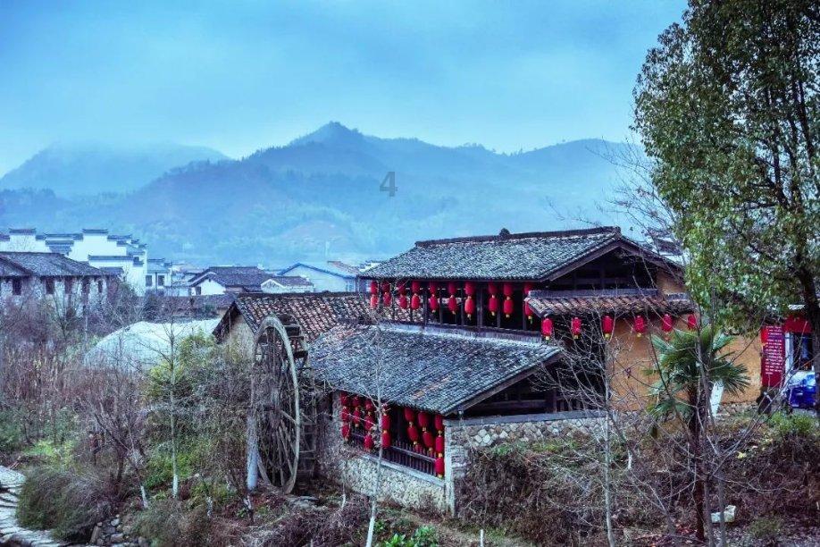 救援小白狼